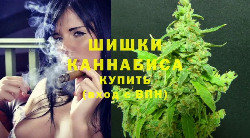 Каннабис Amnesia  Котлас 